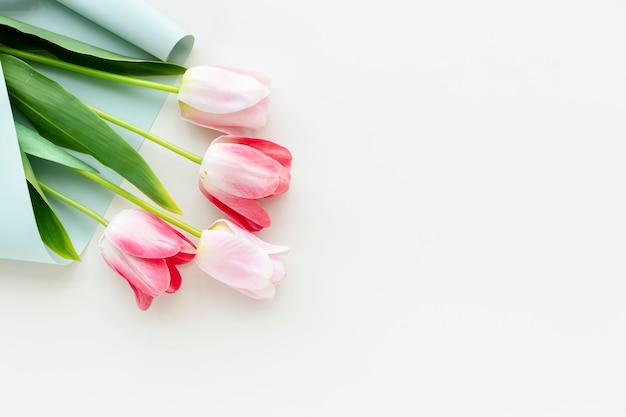 Розовые тюльпаны на пустой белый фон шаблона