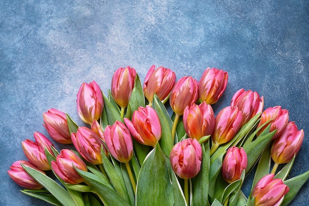 Pink tulips bouquet on blue background copy space top view