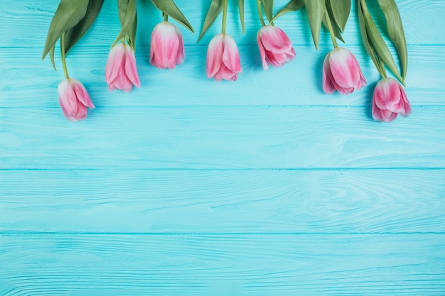 Pink tulips bouquet on blue wooden background