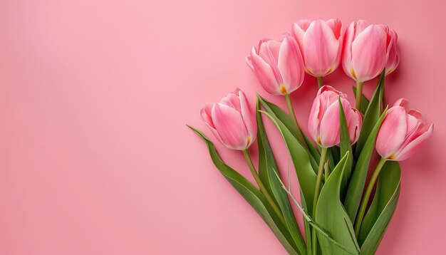 분홍색 배경 에 분홍색 립 꽃집