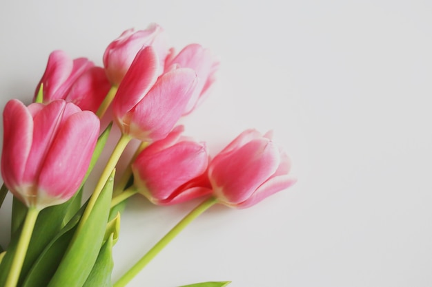 Pink tulips bouquet on white