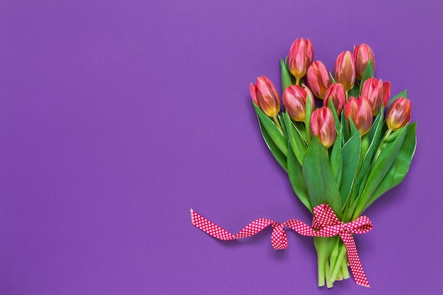 Розовые тюльпаны украшены лентой на фиолетовом фоне. вид сверху, копия пространства.