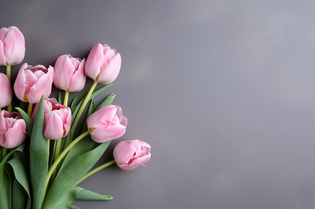 Pink tulips on a gray background with a green leaf.