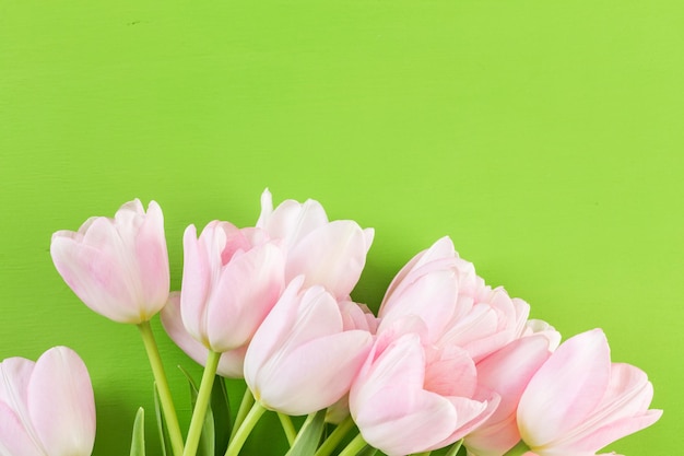 Pink tulips on a green background.