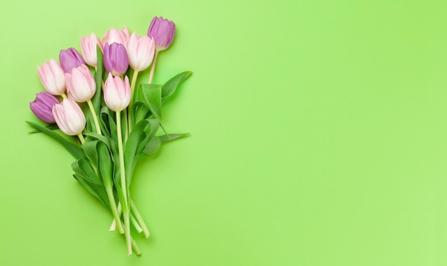 Pink tulips over green background