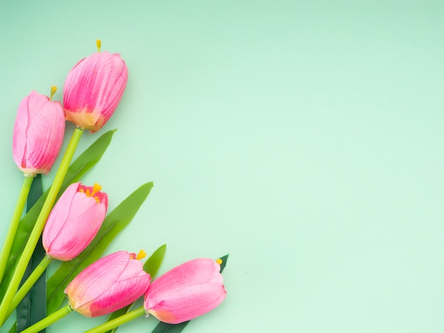 Premium Photo | Pink tulips green paper background