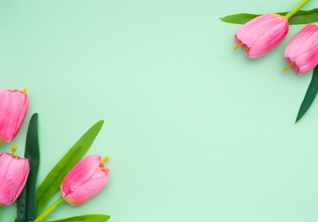 Pink tulips green paper background