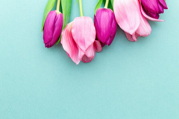 Pink tulips on a green spring background.