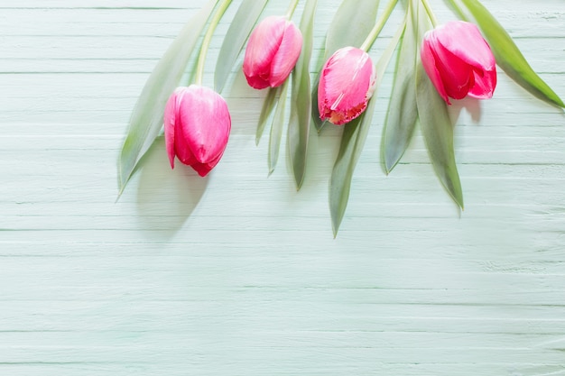 Pink tulips on green wooden
