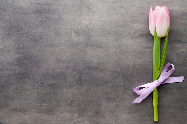 Pink tulips on the grey  background.