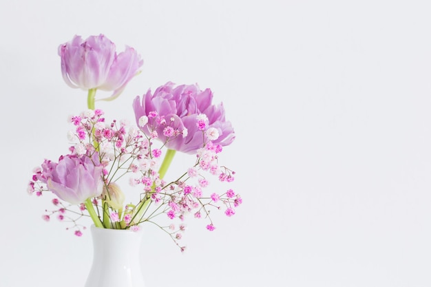 Pink tulips and gypsophila on white background