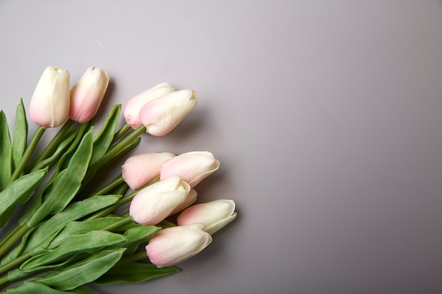 Розовые тюльпаны к Международному женскому дню