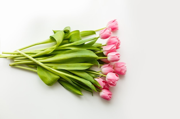 pink tulips lie on a white table next to colored pens