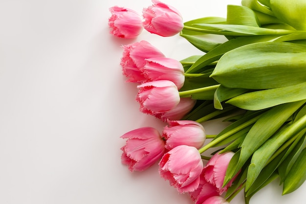 pink tulips lie on a white table