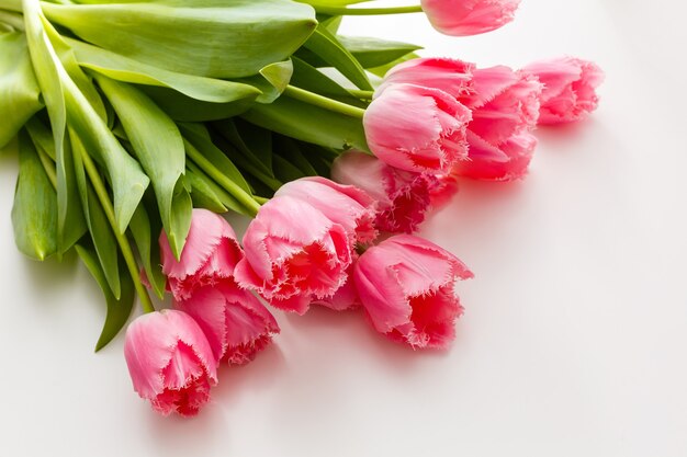 pink tulips lie on a white table