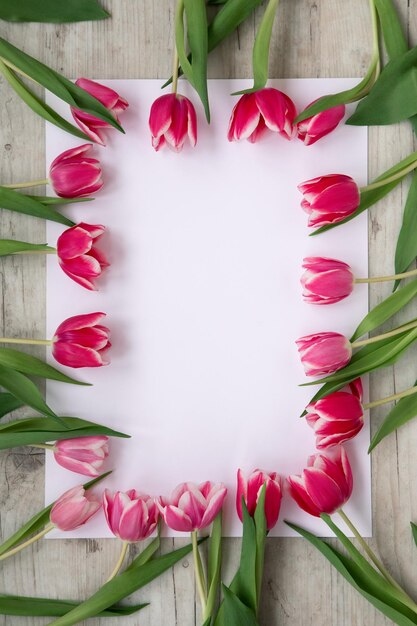 Pink tulips on a light background