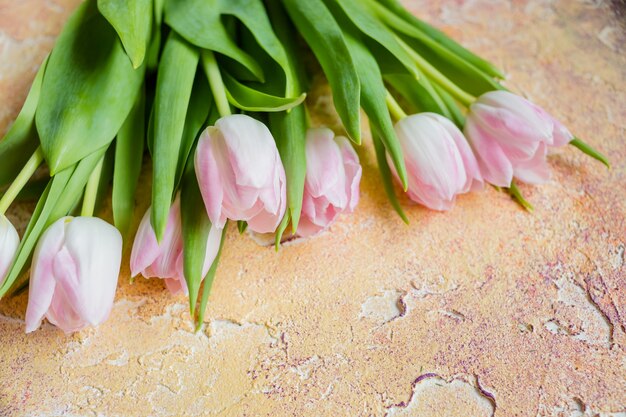 Pink tulips lying on rustic. Spring flowers. 