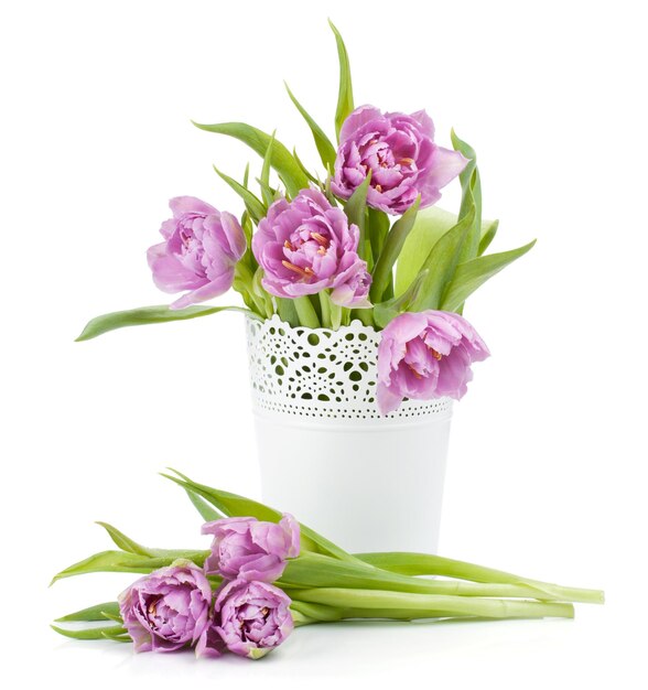 Pink tulips in metal flowerpot