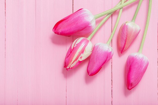 Фото Розовые тюльпаны на розовой деревянной поверхности