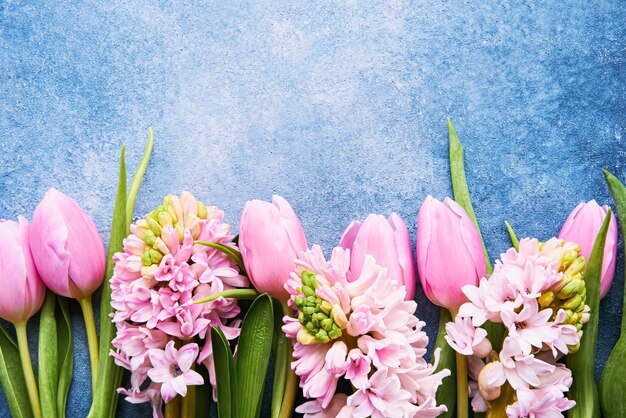 鮮やかな青い壁にピンクのチューリップとピンクのヒヤシンスの花。上面図、テキスト用のコピースペース