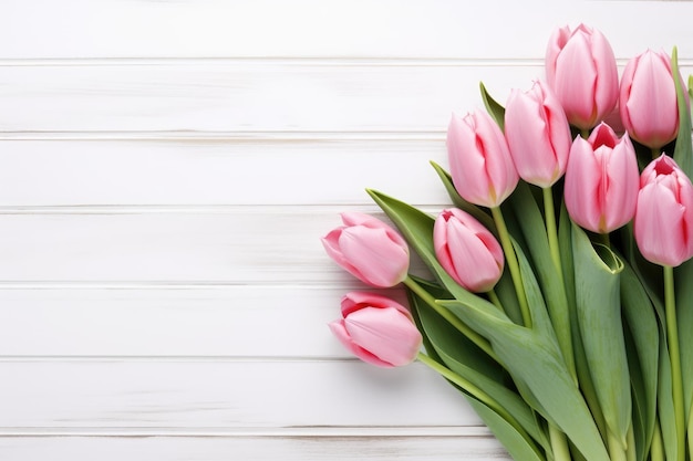 pink tulips on a white background.