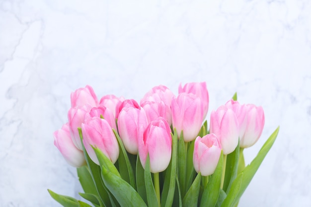 Pink tulips on white marble background.