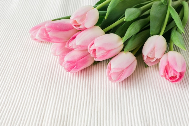 pink tulips on white tablecloth. copy space, top view. greeting card