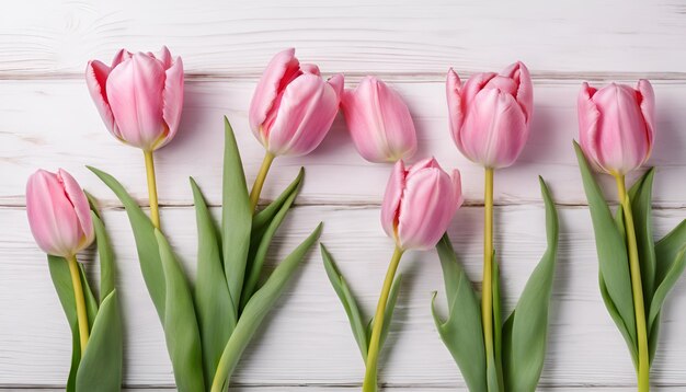 Pink tulips on white wooden background with copy space