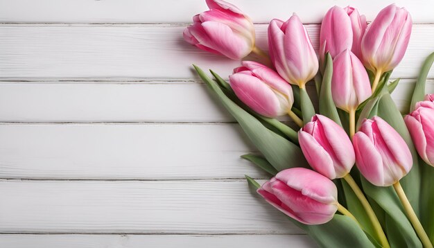 Pink tulips on white wooden background with copy space