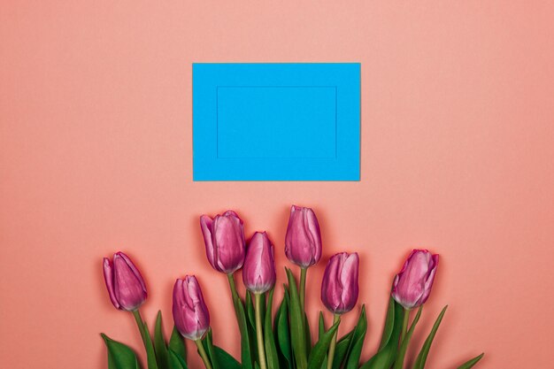 pink tulips with blue envelope