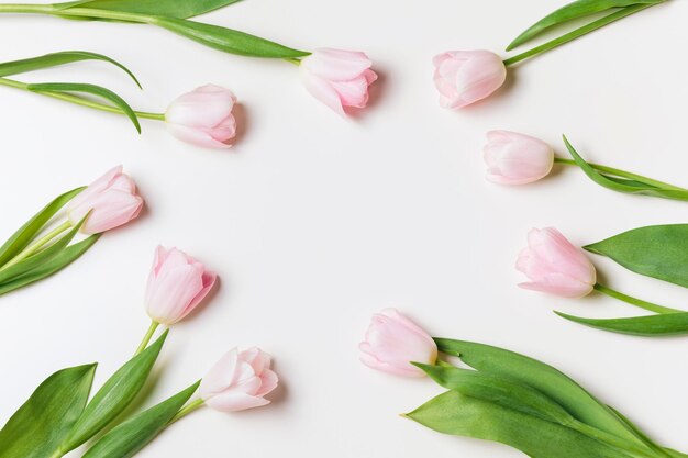 Photo pink tulips with a white background with a white background