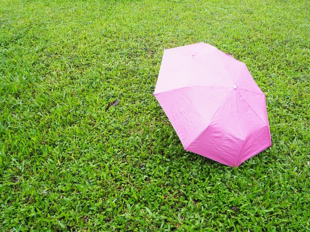 緑の牧草地の草にピンクの傘