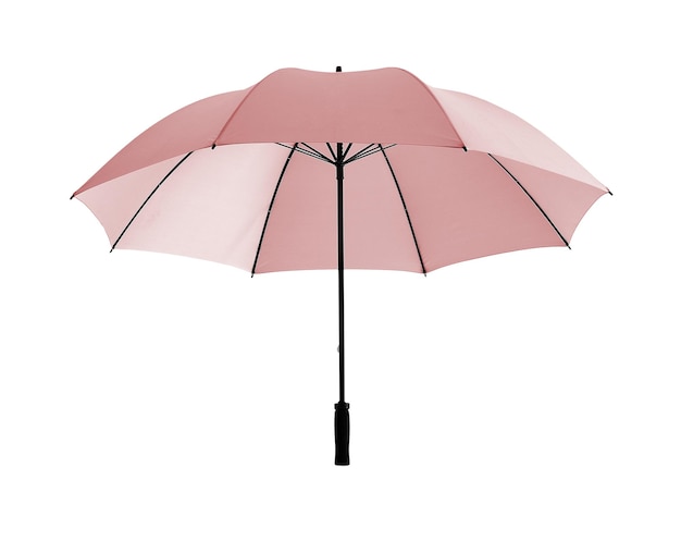 Pink umbrella