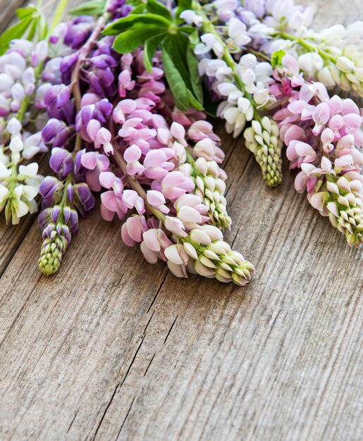 Pink  upine flowers