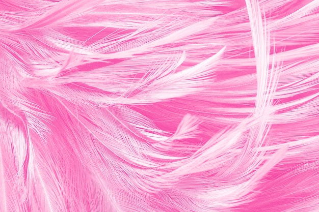 ピンクのヴィンテージ色の傾向の羽のテクスチャの背景