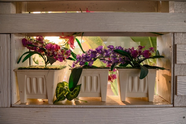 Pink violet flower craft in white pot on window sill