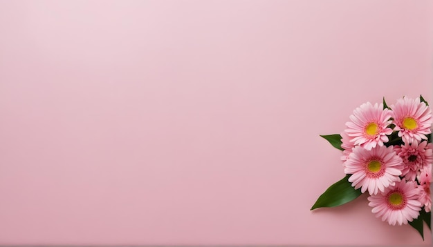 Photo a pink wall with a plant on it