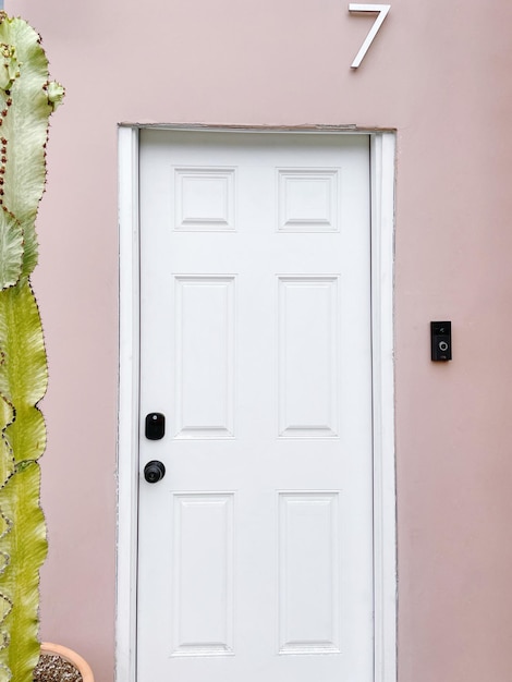 Розовая стена с белой дверью и кактусом