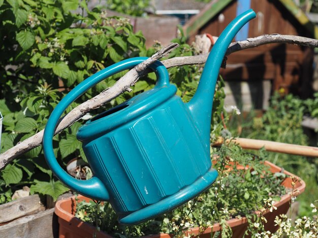 Photo pink watering can hanging on branch at garden