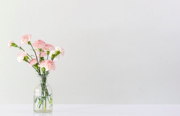 Pink and white carnation flowers in glass vase on white table in white room