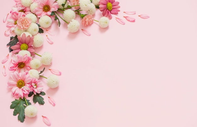 Pink and white chrysanthemums on pink background background