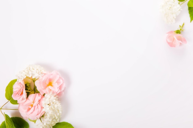 Pink and white flowers begonias and hydrangeas on a white background