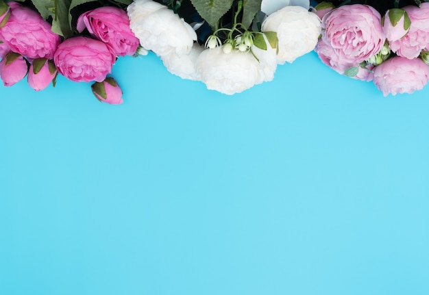 Pink and white flowers on blue background