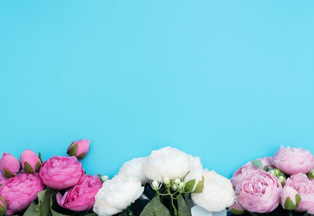 Pink and white flowers on blue background