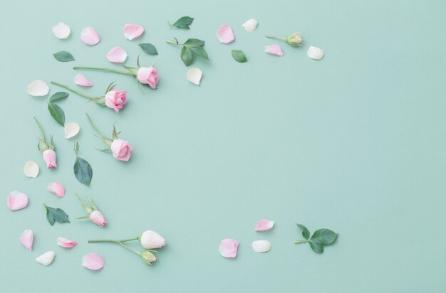 Pink and white flowers on green paper surface