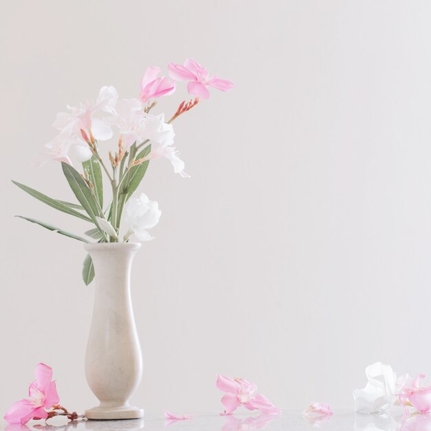 Pink and white oleander in vase