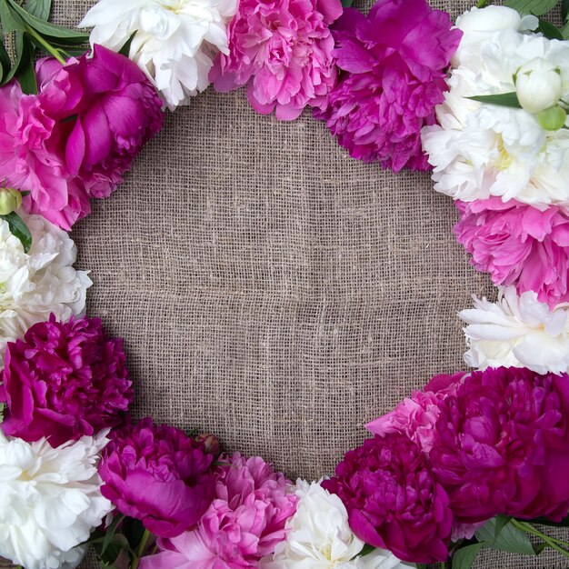 Pink and white peonies on canvas background