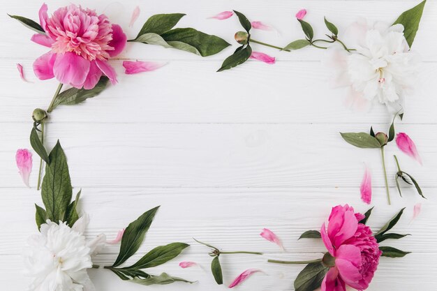 Pink and white peonies on a white wooden background copy space flat lay greeting card