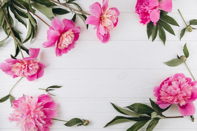 Pink and white peonies on a white wooden background copy space flat lay greeting card