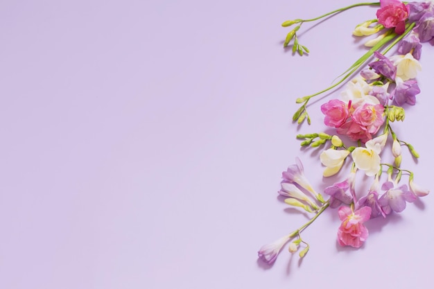 Pink white and purple flowers on light purple background